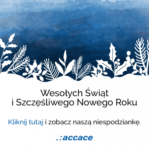 Accace_Christmas card_2020_RGB_PL_web
